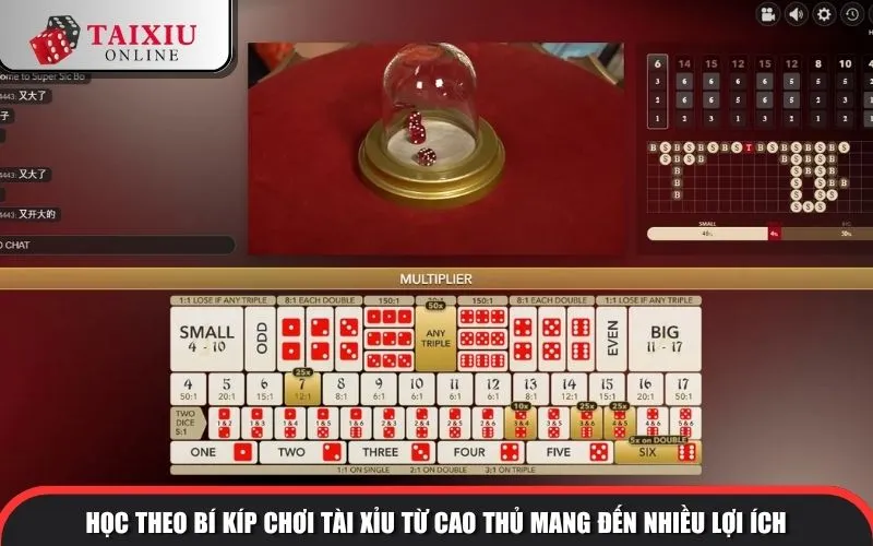 Học theo bí kíp chơi tài xỉu từ cao thủ mang đến nhiều lợi ích